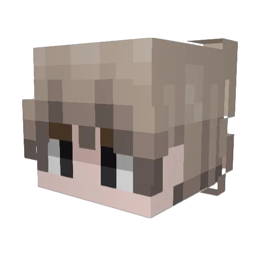 bcoooo Minecraft avatar head, 3D render