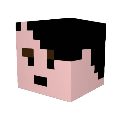 bcox1994 Minecraft avatar head, 3D render
