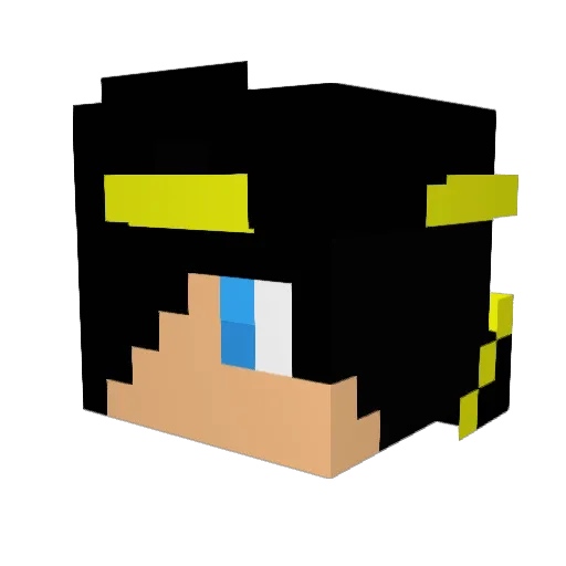 bcsurfandskate Minecraft avatar head, 3D render