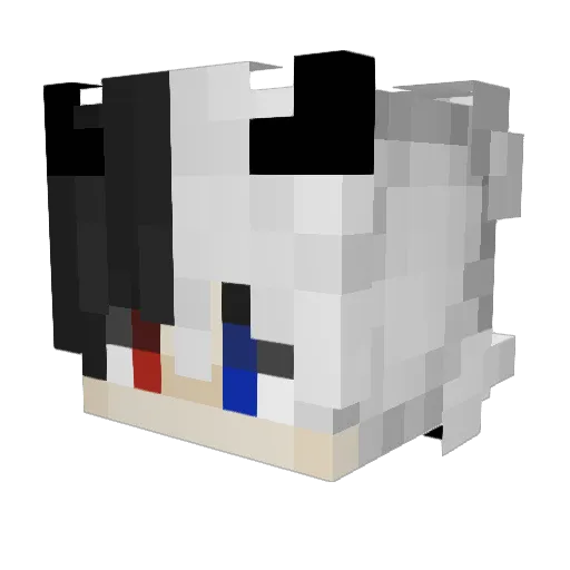 bcv__ Minecraft avatar head, 3D render
