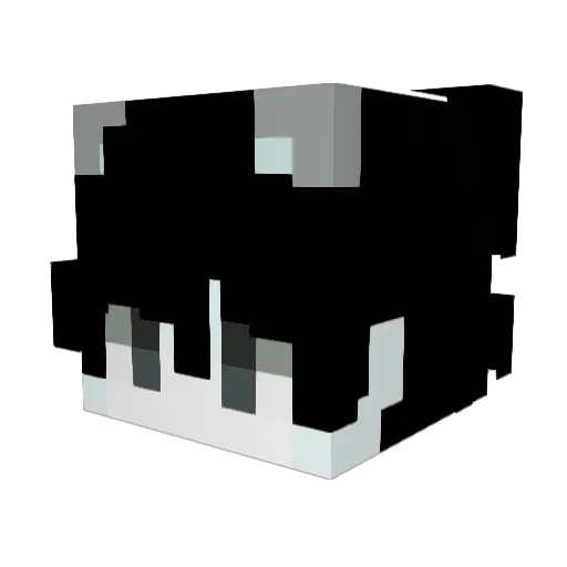 bdanny03 Minecraft avatar head, 3D render