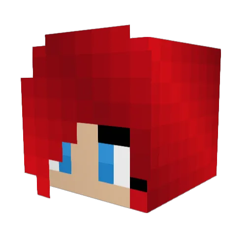 bdcernuska Minecraft avatar head, 3D render