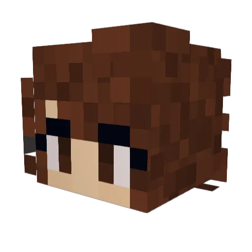 bdizzle206 Minecraft avatar head, 3D render