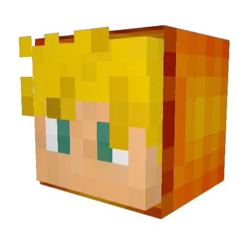 bdngamer4 Minecraft avatar head, 3D render