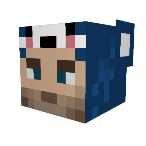 bdouglasolson Minecraft avatar head, 3D render