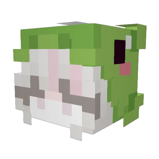 bdr804662 Minecraft avatar head, 3D render
