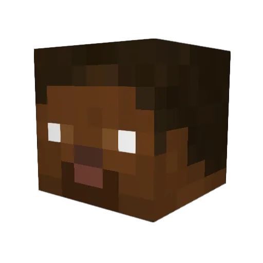 bdshlonglow Minecraft avatar head, 3D render