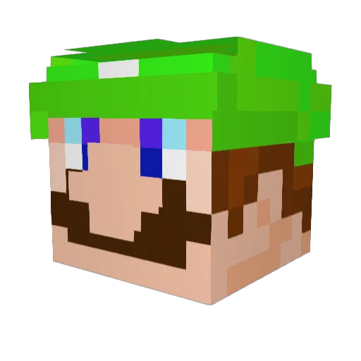 bdsolo5 Minecraft avatar head, 3D render