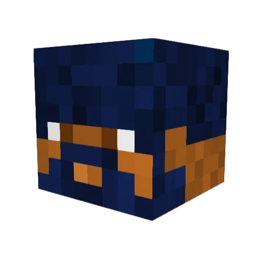 bdub1227 Minecraft avatar head, 3D render