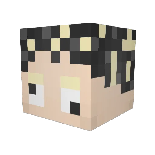 bdub66 Minecraft avatar head, 3D render
