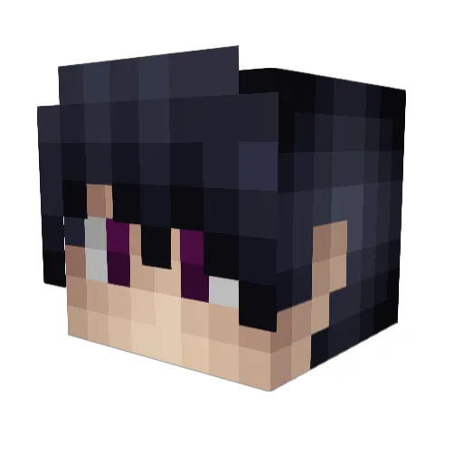 bduddy55555 Minecraft avatar head, 3D render