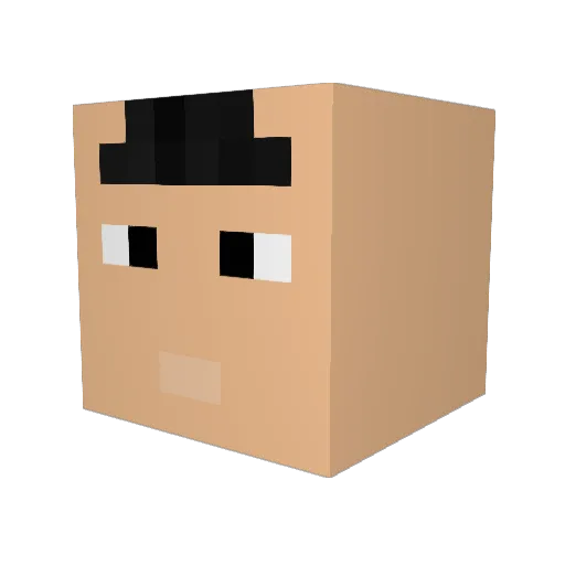 bdwefe Minecraft avatar head, 3D render