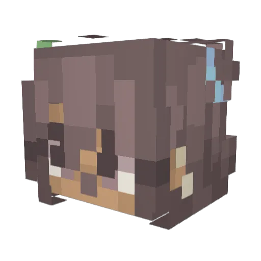 bdzmp Minecraft avatar head, 3D render