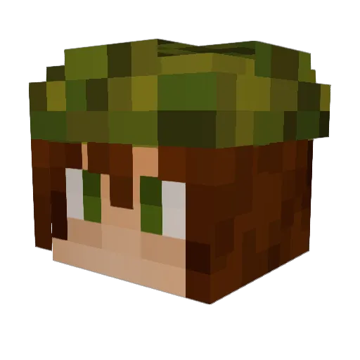 be4r_jp Minecraft avatar head, 3D render