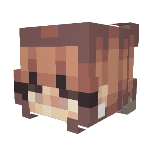be_blake_blakely Minecraft avatar head, 3D render