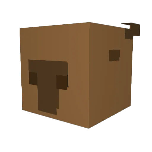 beaboboogie Minecraft avatar head, 3D render