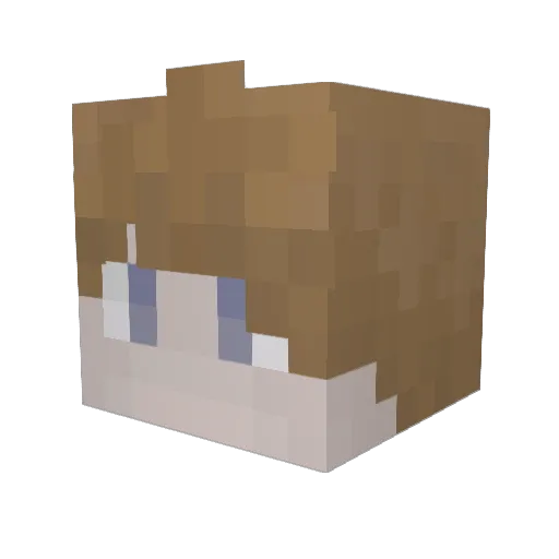 beachbummer_ Minecraft avatar head, 3D render