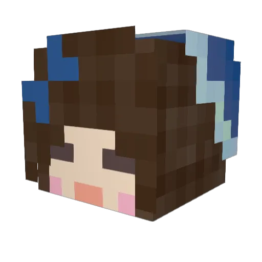beachc0ck Minecraft avatar head, 3D render
