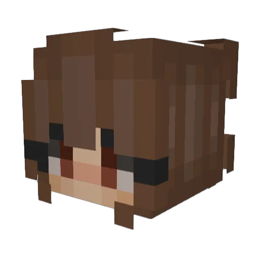 beachcomber5 Minecraft avatar head, 3D render