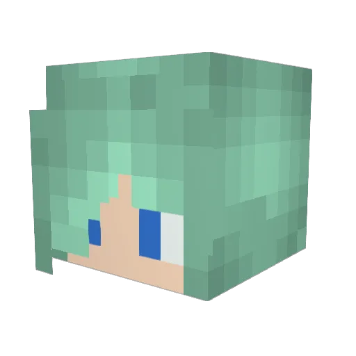 beachorsekitty Minecraft avatar head, 3D render