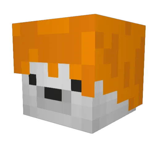 beakbock Minecraft avatar head, 3D render