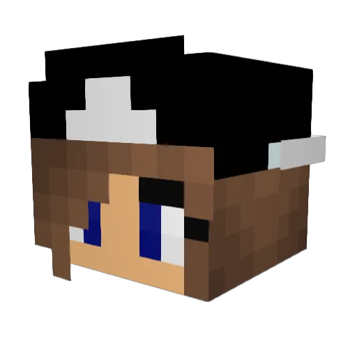 beakoko Minecraft avatar head, 3D render