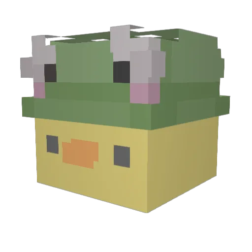 bean__salsa Minecraft avatar head, 3D render