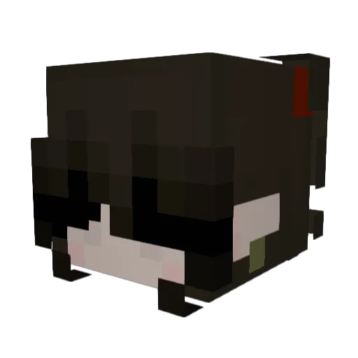 bean_beans_ Minecraft avatar head, 3D render