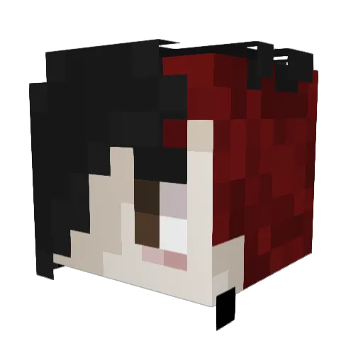 bean_sage Minecraft avatar head, 3D render
