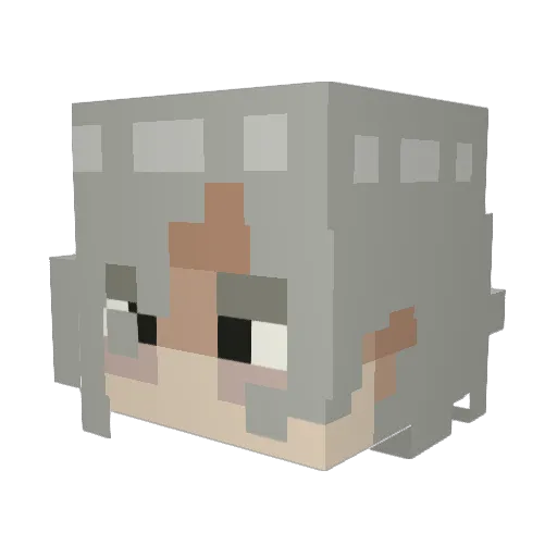 beanbuned Minecraft avatar head, 3D render