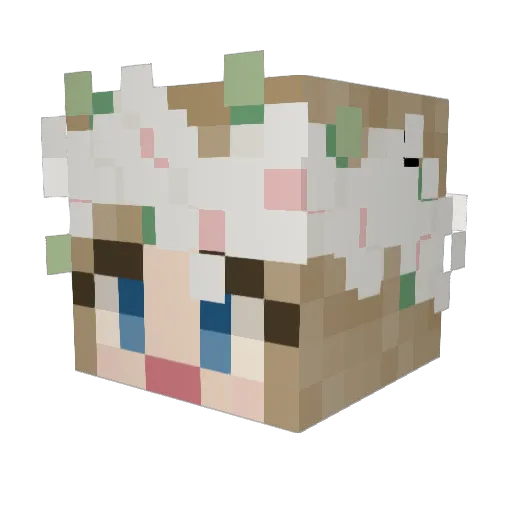 beanflavor Minecraft avatar head, 3D render