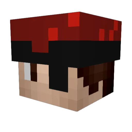 beanie0227 Minecraft avatar head, 3D render