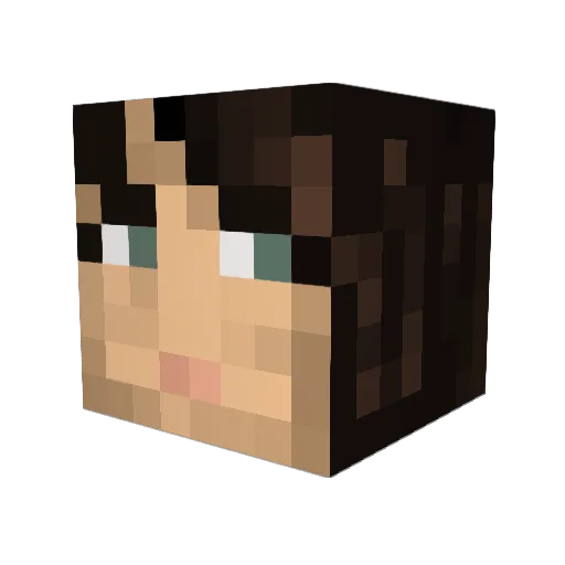 beanieblossom Minecraft avatar head, 3D render
