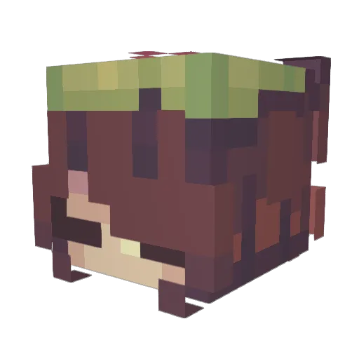 beaniet69 Minecraft avatar head, 3D render