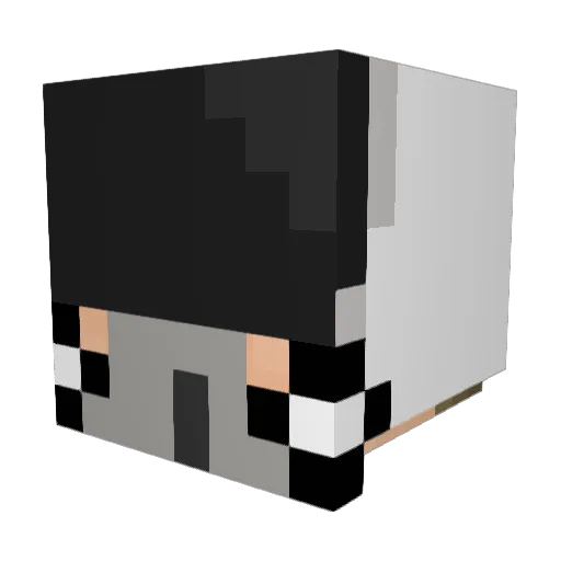 beanis27 Minecraft avatar head, 3D render