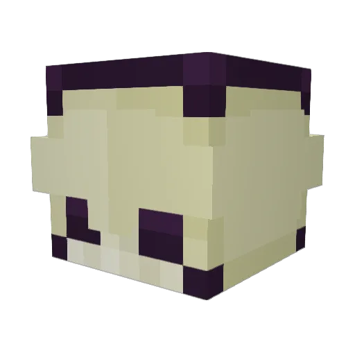 beanpolePOG Minecraft avatar head, 3D render