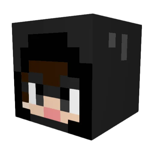 beanpolesh77 Minecraft avatar head, 3D render