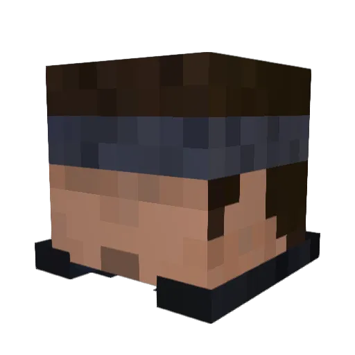 beanprotein Minecraft avatar head, 3D render