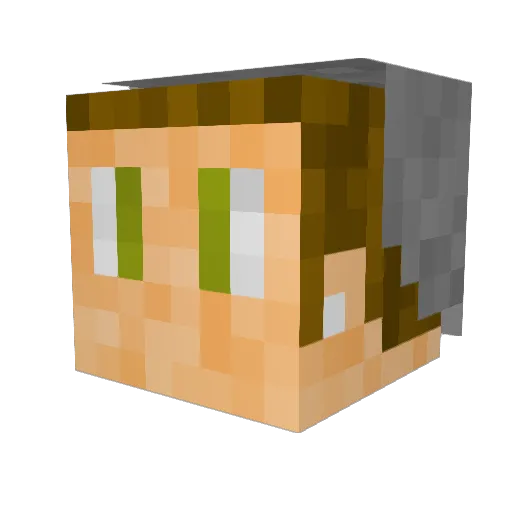 beansonpizza Minecraft avatar head, 3D render