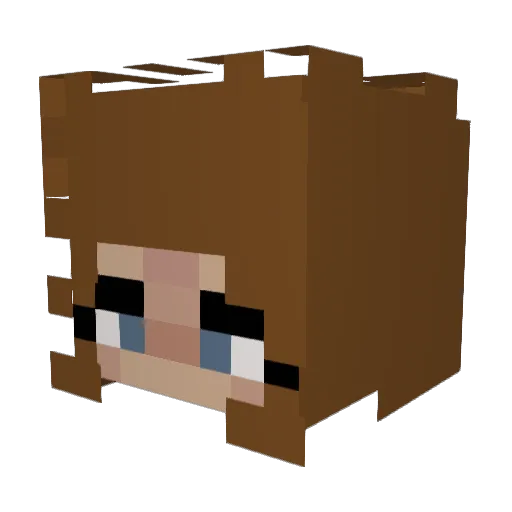 beansoup6259 Minecraft avatar head, 3D render