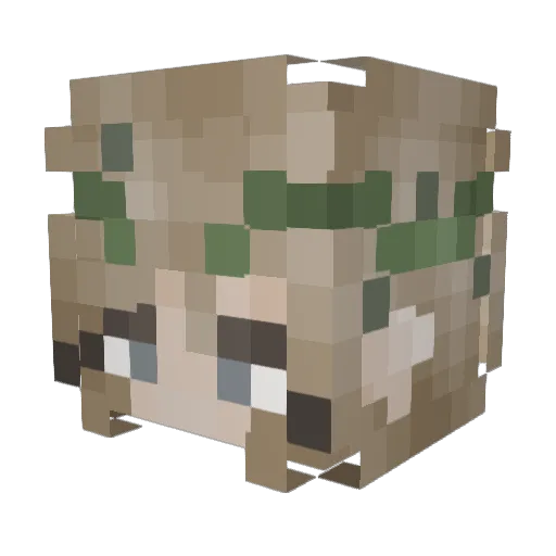 beanvale Minecraft avatar head, 3D render