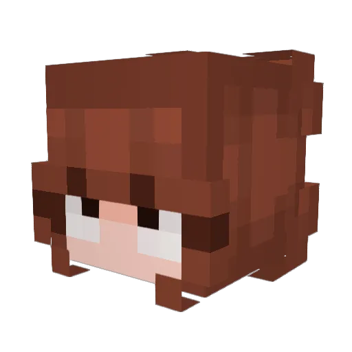 beanweer Minecraft avatar head, 3D render