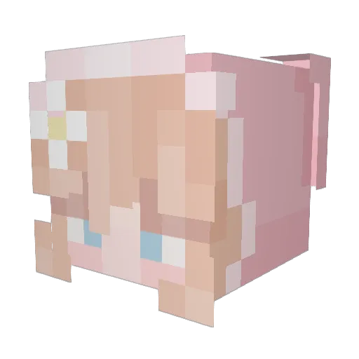 bear__cub Minecraft avatar head, 3D render