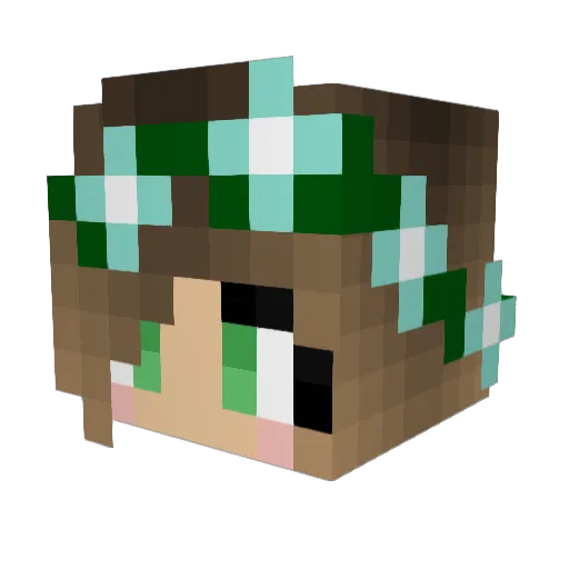 bear_man555 Minecraft avatar head, 3D render