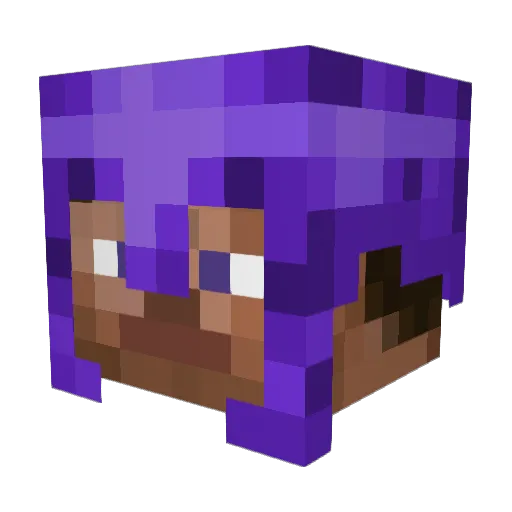 bearaax Minecraft avatar head, 3D render