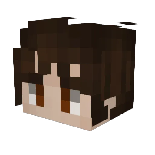 bearbaronbailey Minecraft avatar head, 3D render