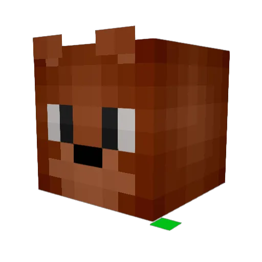 bearboy23 Minecraft avatar head, 3D render