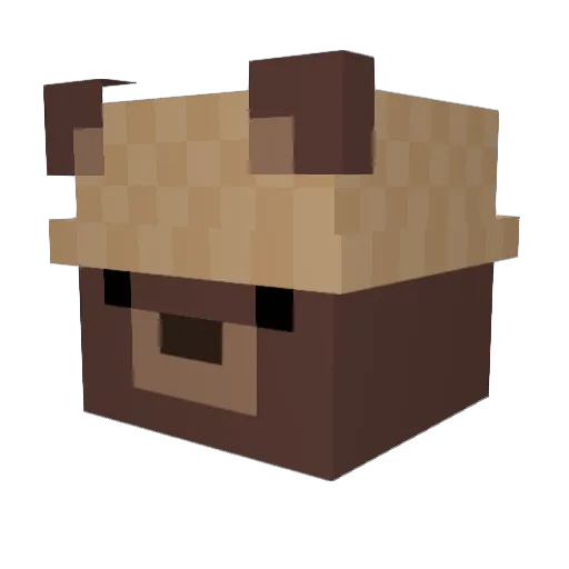 bearcrawl Minecraft avatar head, 3D render