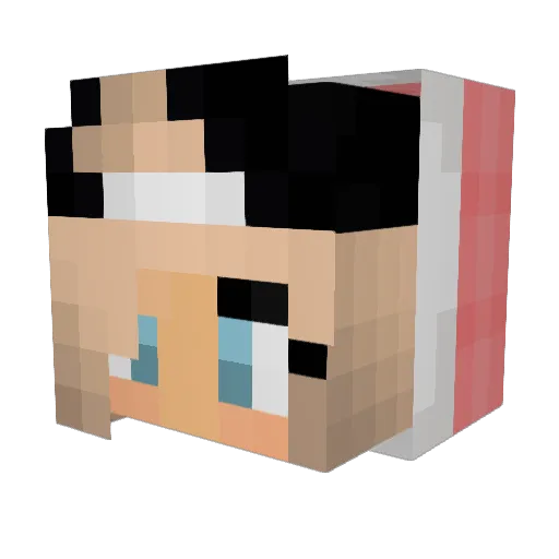 bearcub2OO3 Minecraft avatar head, 3D render