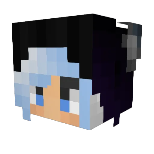 beardeddragon96 Minecraft avatar head, 3D render